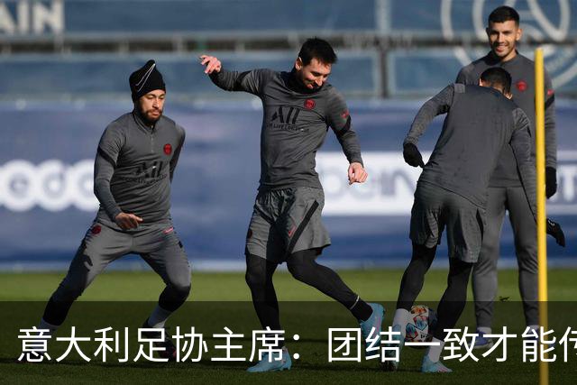 意大利足协主席：团结一致才能传递信心